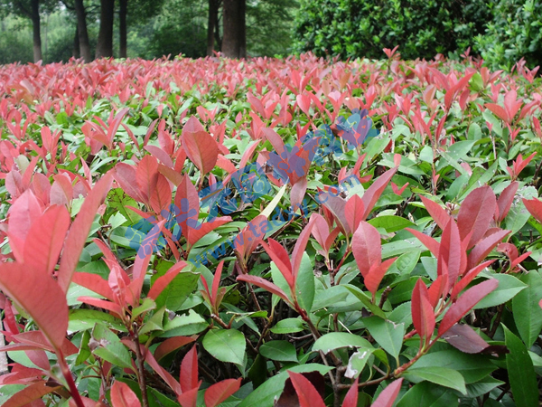 c鿴ԔϢ}t~ʯ xΔ2321